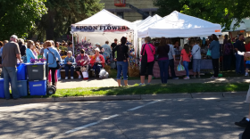 People check out craft booths in downtown Little Falls