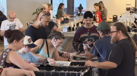 Attendees browse dozens of bins of records at the Gainesville Record Fair in Cypress & Grove Brewing Co. on Sunday.