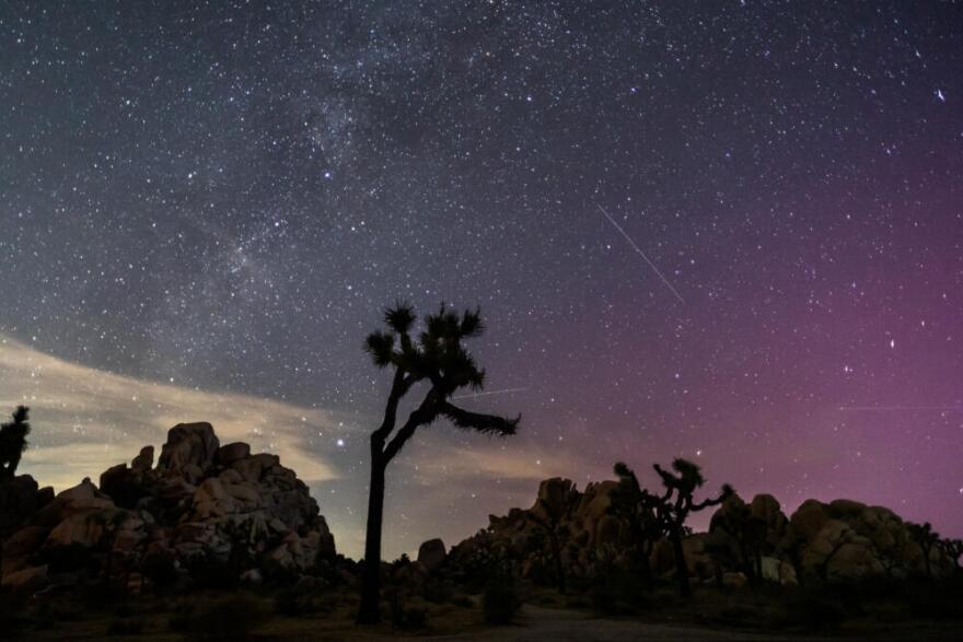 Northern Lights (Aurora Borealis) illuminate the sky above Joshua Tree National Park during the Perseids Meteor shower in Joshua Tree, California, early on Aug. 12, 2024. (Apu Gomes/AFP via Getty Images)