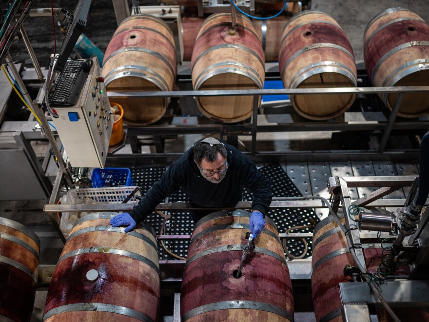 An employee fills oak barrels with cabernet sauvignon wine, made from the 2023 harvest, in a cellar at the Golan Heights Winery in Katzrin, the Golan Heights, on Jan. 8.