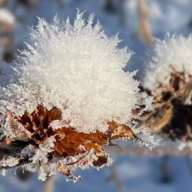 All photos courtesy of Jim Tolstrup and High Plains Environmental Center, all rights reserved.