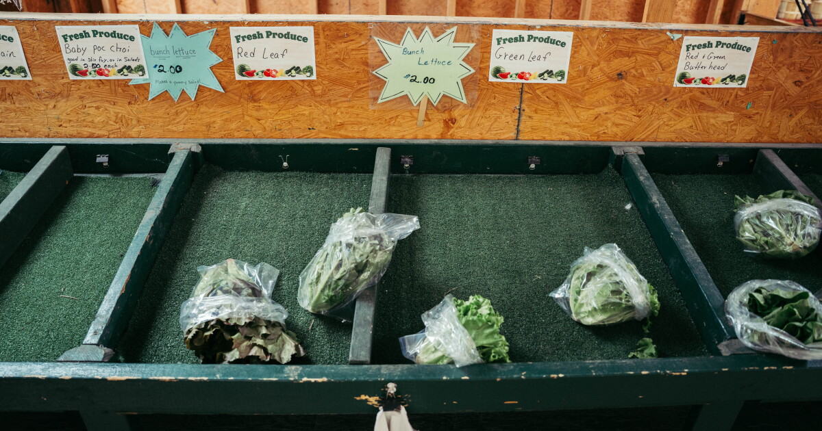 Lettuce lovers rejoice: The CDC says the cyclospora outbreak in Missouri, Illinois is over