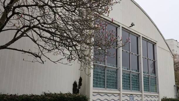 A magnolia tree outside the window of a building topped with a domed roof.