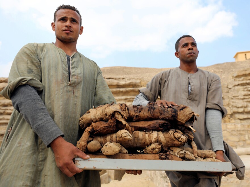 Men carry mummified cats from a tomb at the Saqqara necropolis in Egypt on Saturday.