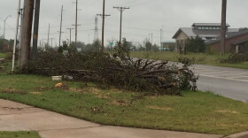 Storm debris piled along 36th Ave. NW just north of Tecumseh Road in Norman
