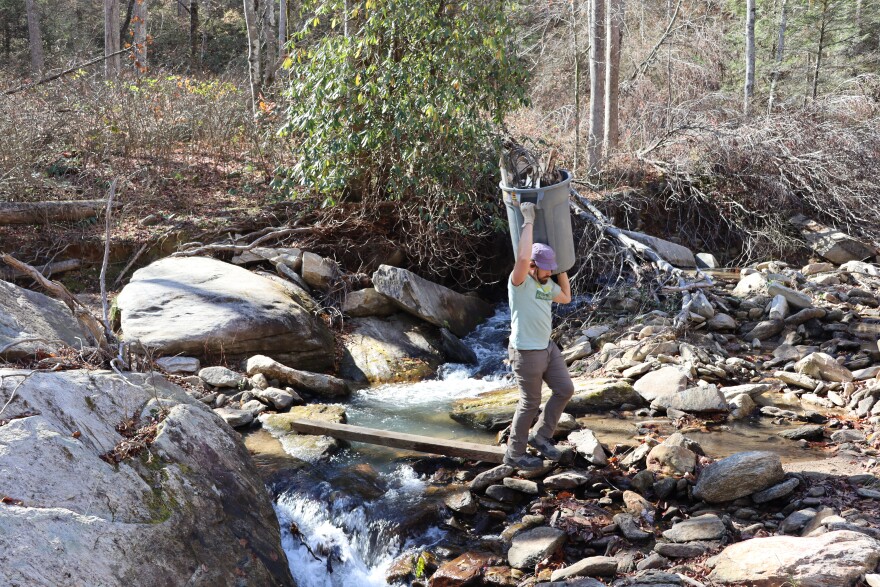 MountainTrue crew member walking a trash can full of debris back to the dumpster on Hickory Creek, Nov. 12, 2025