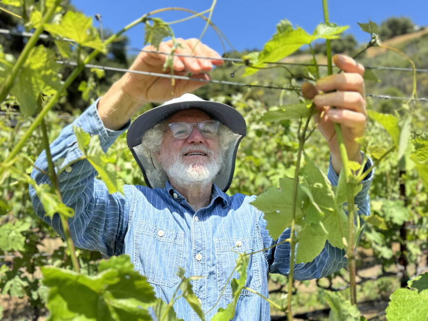 Adam Tolmach is the owner and winemaker of Ojai Vineyard