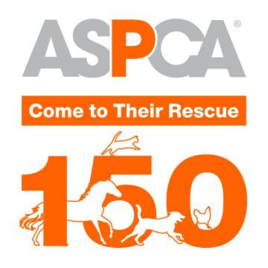 The ASPCA has been helping animals for 150 years!