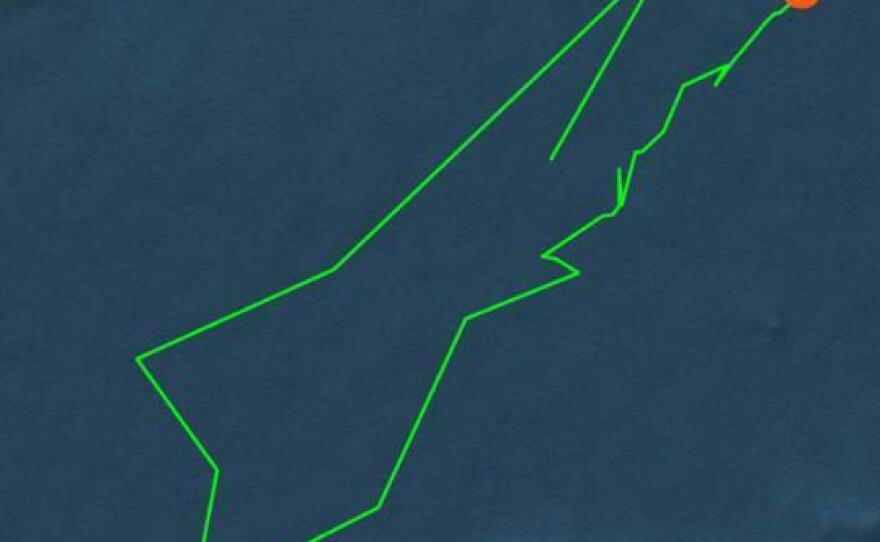 Is "Lydia" messing with us? It's been noticed that part of her route looks something like a shark.