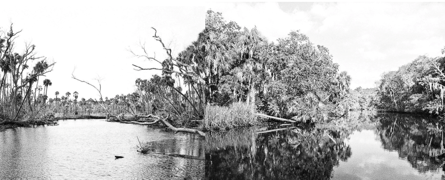 Two photographs of a river taken decades apart show fewer trees today