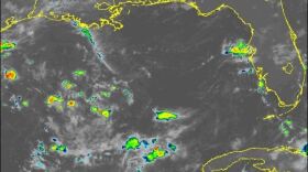 There was no tropical activity of note in the entire Gulf of Mexico region in this NASA satellite taken Sept. 1, 2024, but the major forecasting agencies are in agreement: do not let your guard down because the worst of hurricane season is on its way