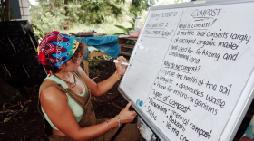 woman writing on a whiteboard