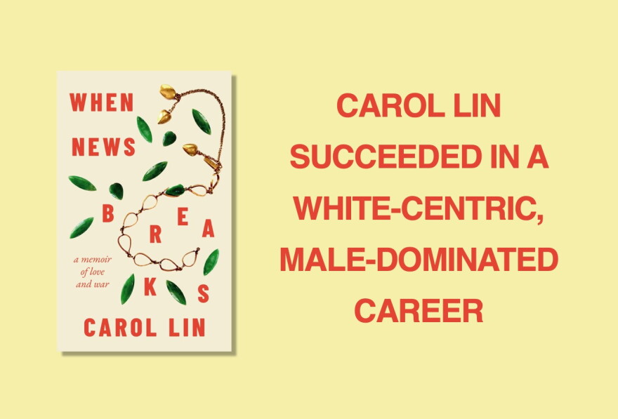 Book cover for When New Breaks by Carol Lin