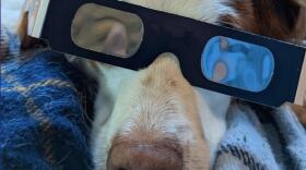 WXXI's Scott Fybush is thrilled about the upcoming solar eclipse, but his family's dog, Sadie, probably isn't too impressed.