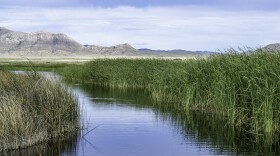 The Wayne E. Kirch Wildlife Management Area in Nevada.