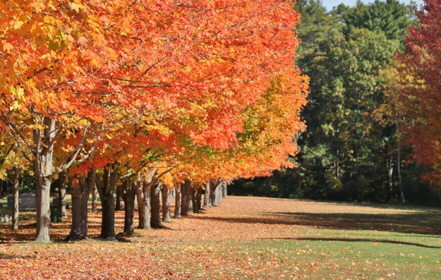 Autumn in Rye, NH. 2022. Dan Tuohy photo.