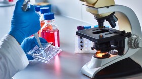 Scientist pipetting research samples by the microscope