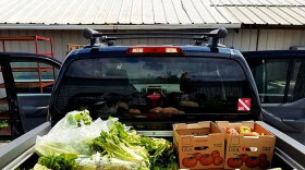 pick-up truck transporting fruits and vegetables
