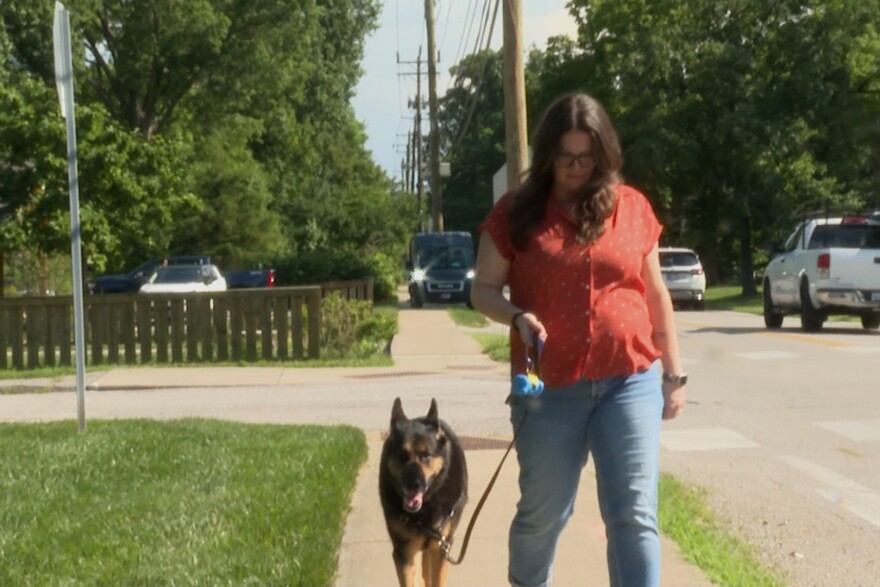 Julie Warren often walks her dog along High Street.