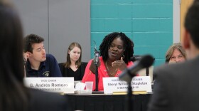 Former New Mexico Rep. Sheryl Williams Stapleton. 