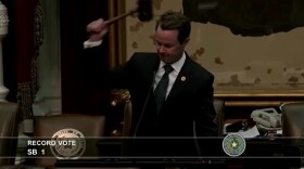 House Speak Dale Phelan gavels the close of voting on SB1