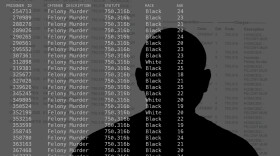 A data table listing individuals charged with "Felony Murder" under statute "750.316b" is superimposed over the dark silhouette of a person facing away from the camera.