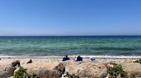 Chapoquoit Beach in Falmouth on August 4, 2022, a day swimming was closed due to high fecal bacteria.