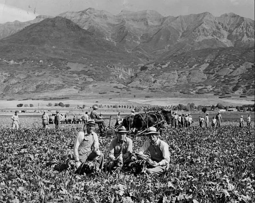 Photo of three men kneeling in the fields of an orchard in Orem Utah