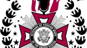 Voice of Democracy Logo