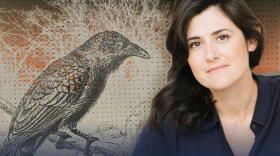 Professor Emily Ogden's new book, Darkness Becomes Bright, offers new perspectives on Poe.
