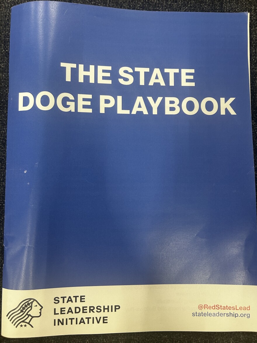 State Leadership Initiative and DeSantis adviser Eric Soskin created a playbook for other Republican states to help them create their own DOGE initiatives.