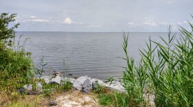 The Inflation Reduction Act funds will pay for restoring shorelines in federal and state wildlife refuges, like the Mattamuskeet National Wildlife Refuge in Hyde County, in eastern North Carolina.