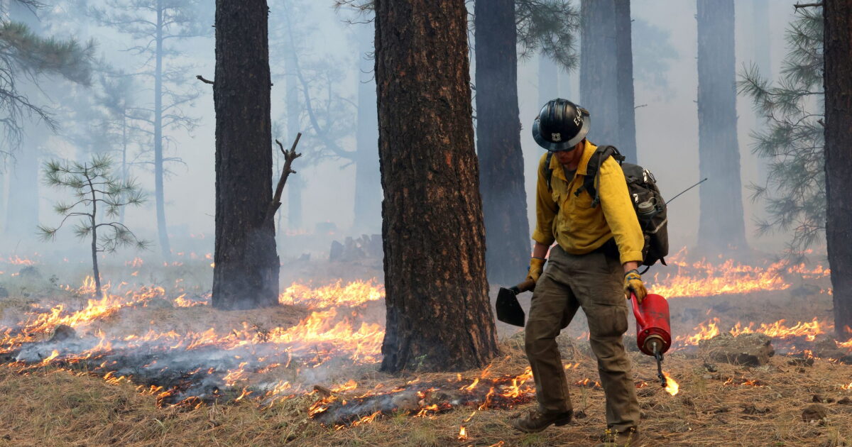Sen. Kelly and colleagues seek to exclude pollution from prescribed burns from the Clean Air Act