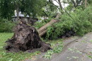 High winds and heavy rain led to downed trees, power outages and flooded streets across Bloomington-Normal.