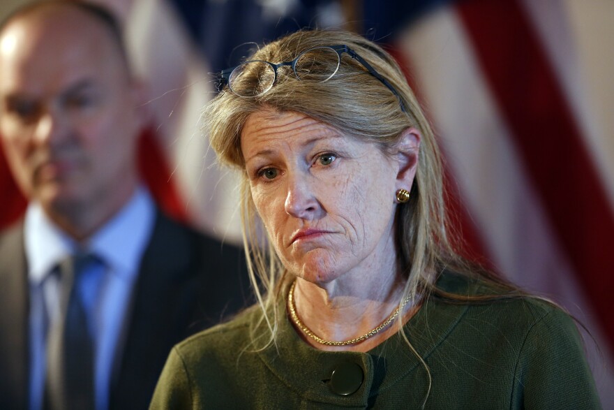 Department of Health and Human Services Commissioner Jeanne Lambrew takes a question at a news conference in the State House, Wednesday, Feb. 6, 2019, in Augusta, Maine. Lambrew is part of Gov. Mills' opioid task force.