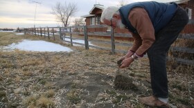John Thelen's home well near Burns, Ore., produced this pile of black sand before it ran dry. He dug deeper only to reach drinking water contaminated with arsenic.