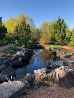 rock water garden.jpg