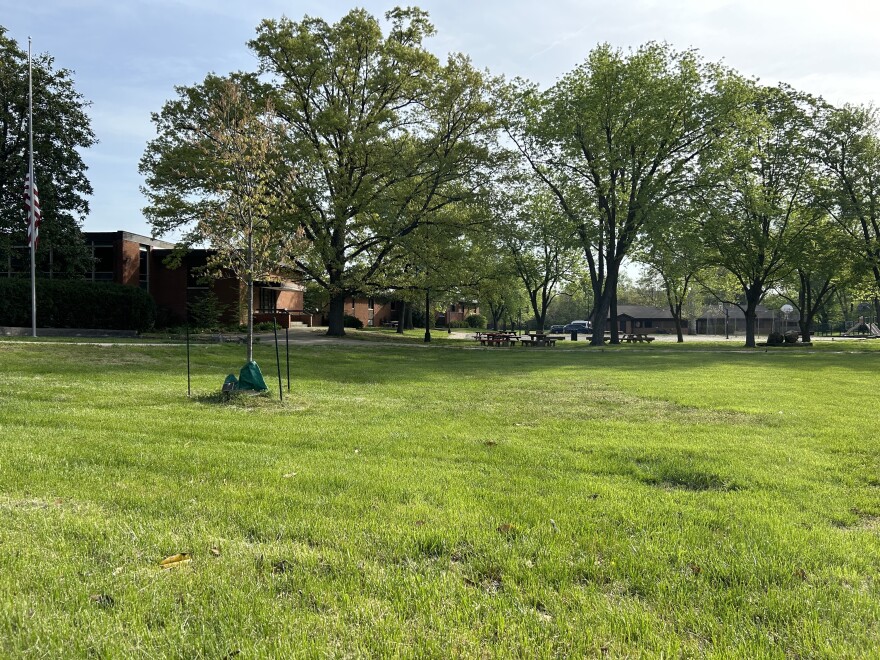 A grassy park-like area hemmed in by low brick buildings and trees.