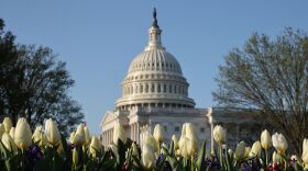 Chip Somodevilla/Getty Images