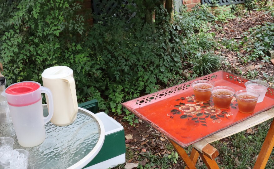 Refreshments set out for Porchfest attendees in Cobbham.