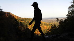 A hiker takes in the fall colors as she makes her way along the Indian Ladder Trail at John Boyd Thacher State Park on Tuesday, Oct. 18, 2016, in Voorheesville, N.Y. (Mike Groll/AP)