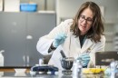 CMC Department Chair of Biological Science Dr. Rebecca Schmidt is ready and excited to share her passion for cell biology with students pursuing CMC’s new bachelor of science in biological science degree.