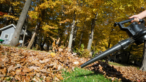 Leaf blowers are loud, and they pollute the air, but state law doesn't allow communities to ban them.