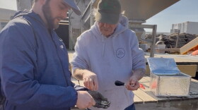 Dale Leavitt, co-owner of West Island Oysters, shows a visitor how to shuck an oyster.