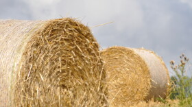 hay bales in a field with a blue sky with some clouds