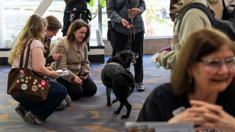 Students interact with service dogs near the voter registration tables at Portland State University on Oct. 6, 2026.