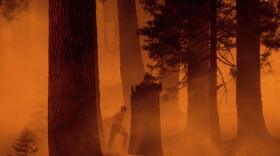 A firefighter walks through haze as the Park Fire burns near the Mineral community of Tehama County, Calif. on Wednesday, Aug. 7, 2024