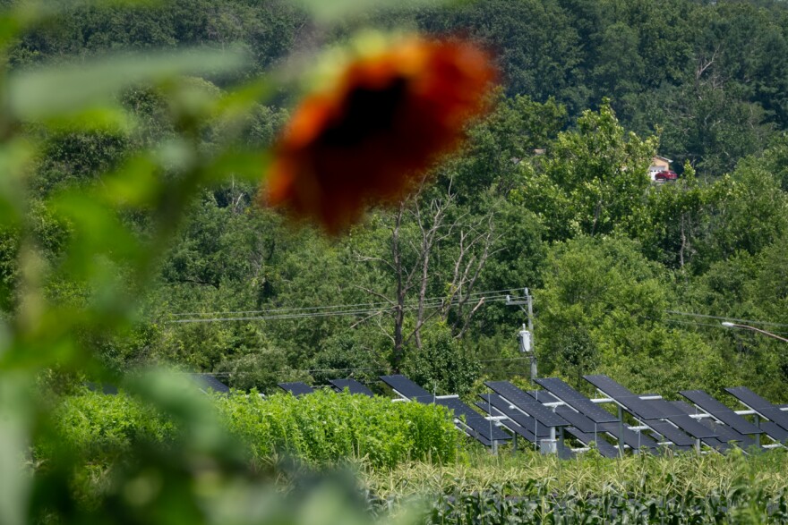 Solar panels mix with crops planted at PEC’s Roundabout Community Farm, part of a larger stewardship project that began in 2018.