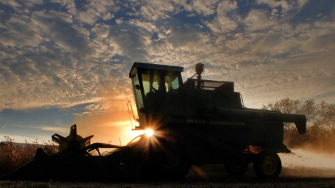 Combine in soybean field at dusk