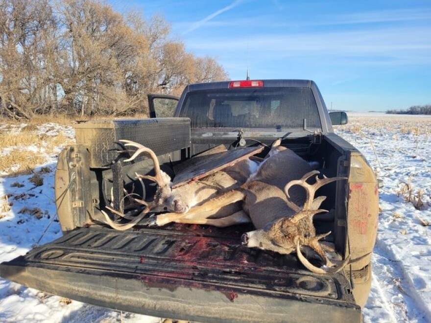 GF&P officials said poachers left two deer in Hecla in November 2022.